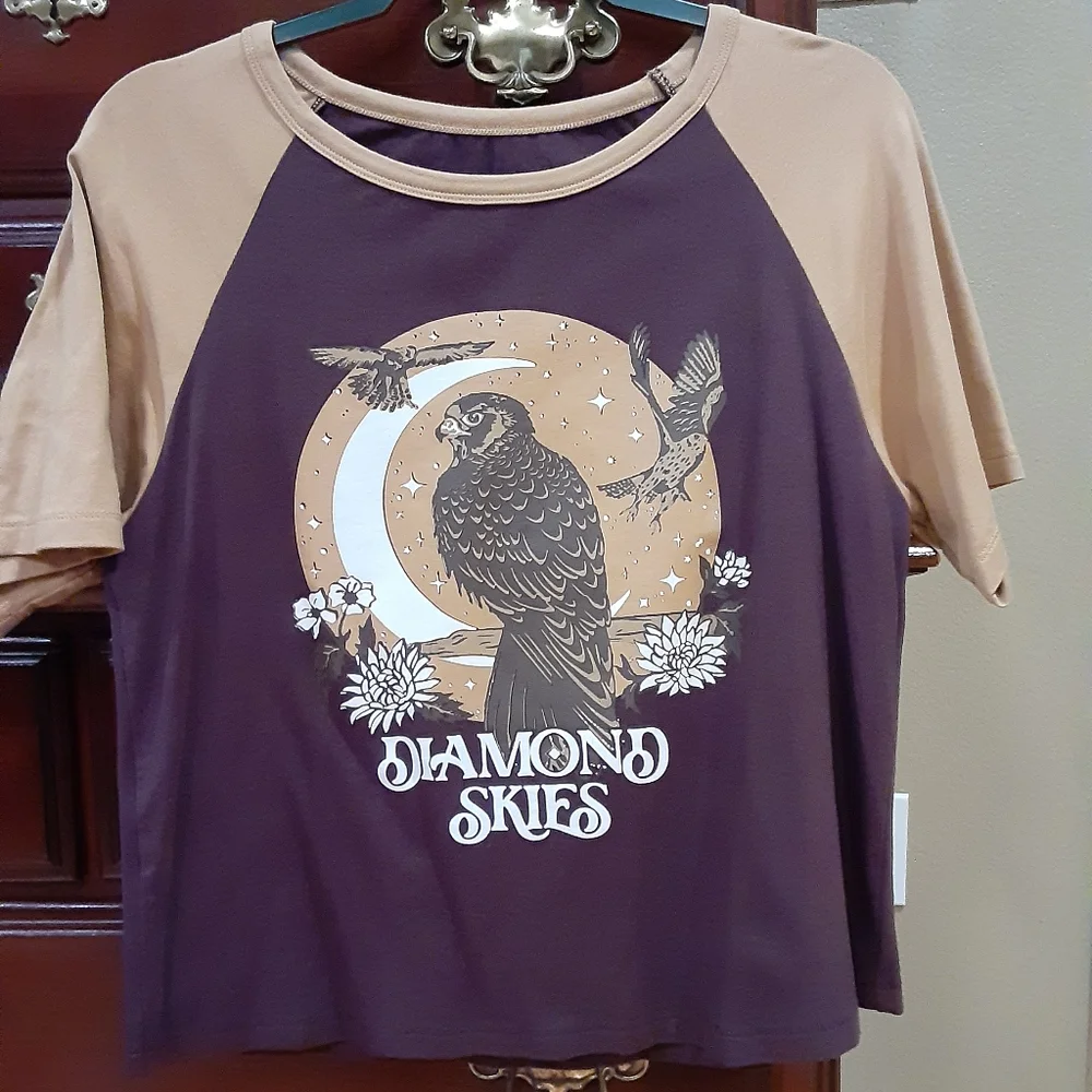 NWOT Chasing Rivers Owl Raglan - Picture 2 of 4